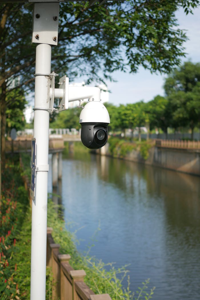 A Surveillance Camera in a Park